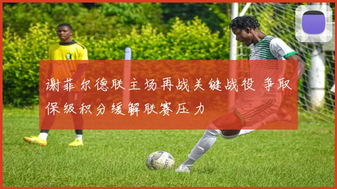 谢菲尔德联主场再战关键战役 争取保级积分缓解联赛压力