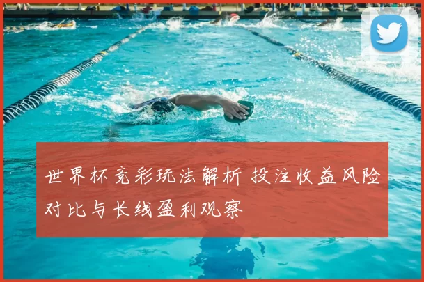 世界杯竞彩玩法解析 投注收益风险对比与长线盈利观察