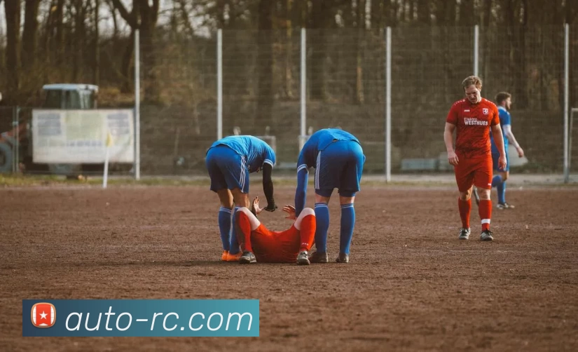 巅峰国际官网 - 追求健康，你我一起成长服务体系